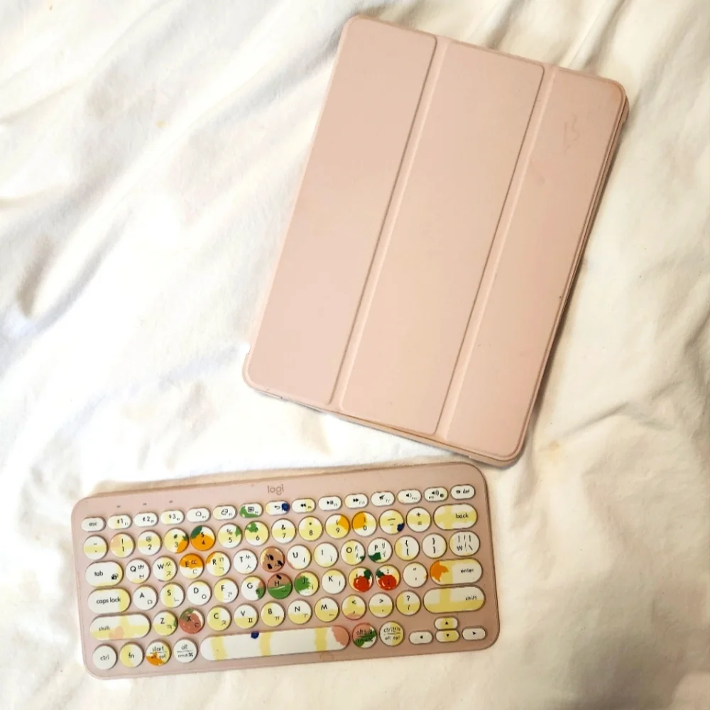 Logitech Wireless Keyboard and IPAD Case